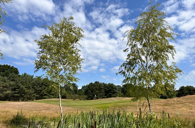 Koppelwedstrijd 6 juni 2025